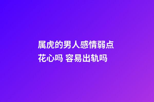 属虎的男人感情弱点 花心吗 容易出轨吗